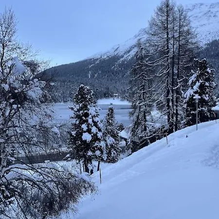 Im Herzen Von Mit Pool Und Tg Appartement Saint-Moritz